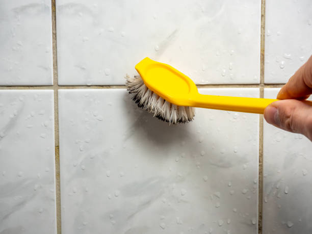 Best Mold Removal Process  in North Platte, NE