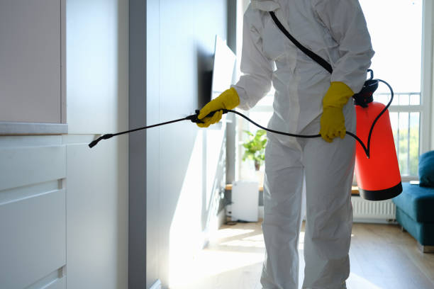 Office Mold Removal Services in North Platte, NE