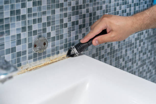 Best Residential Mold Removal  in North Platte, NE